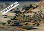 HOKUSAI  ORIENTAL 3HK6877 A MEDIDA POR ENCARGO